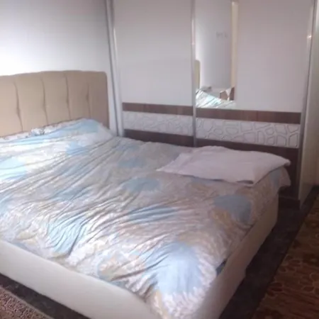 Avrasya Pansiyon-hostel 호스텔 *